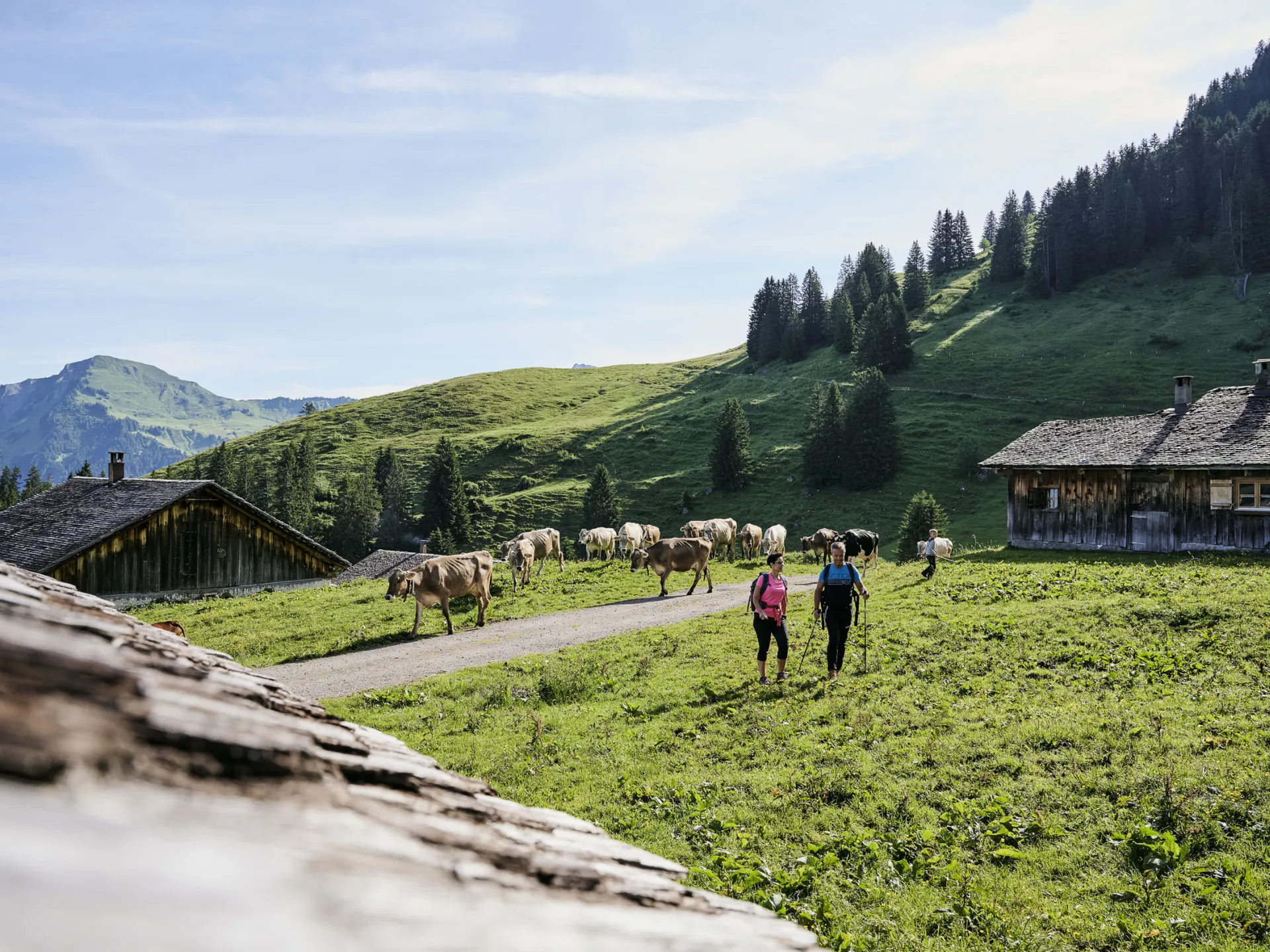 Wandern auf der Alpe Steris